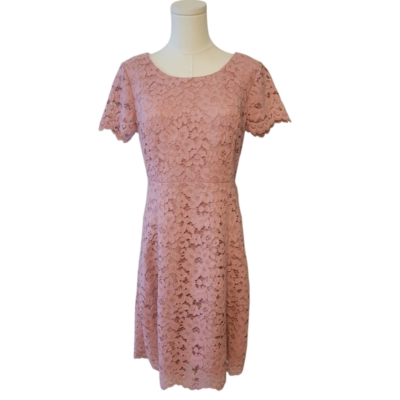 Talbots Pink Lace Overlay Fit & Flare Dress Size 6 Petite - Picture 1 of 5